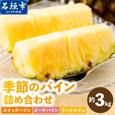 まーぼーの季節のパイン詰め合わせ 約3kg <2026年4月以降順次発送>