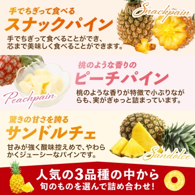 まーぼーの季節のパイン詰め合わせ 約3kg <2026年4月以降順次発送>