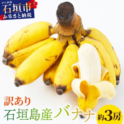 <訳あり> 大満足!石垣島産バナナ3房 <2026年6～10月発送> KP-022