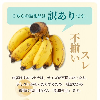 <訳あり> 大満足!石垣島産バナナ3房 <2026年6～10月発送> KP-022