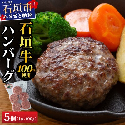 石垣牛ハンバーグ 500g (100g×5個×1パック)