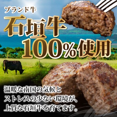 石垣牛ハンバーグ 500g (100g×5個×1パック)