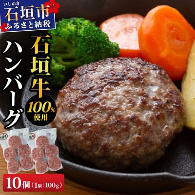 石垣牛ハンバーグ 1kg (100g×5個×2パック)