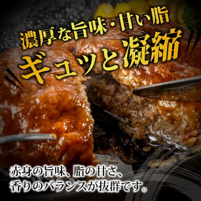 石垣牛ハンバーグ 1kg (100g×5個×2パック)