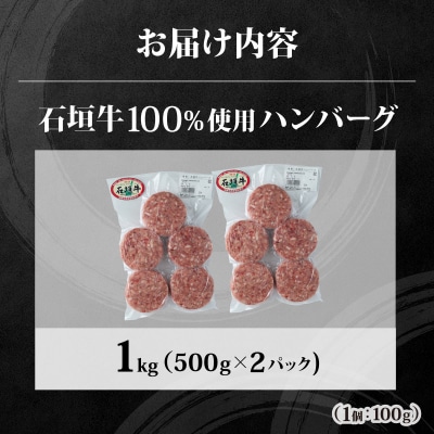 石垣牛ハンバーグ 1kg (100g×5個×2パック)