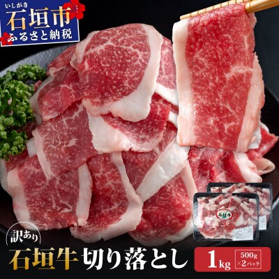 訳あり 石垣牛切り落とし 1kg (500g×2パック)  KP-031