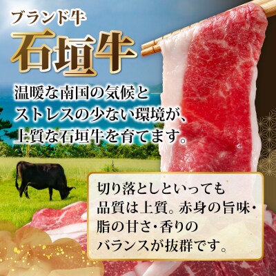 訳あり 石垣牛切り落とし 1kg (500g×2パック)  KP-031