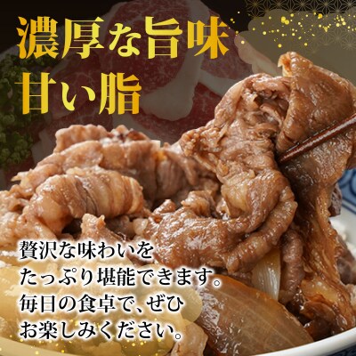 訳あり 石垣牛切り落とし 1kg (500g×2パック)  KP-031