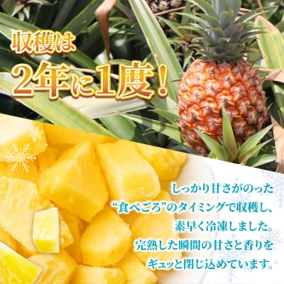 石垣島産 冷凍カットパイナップル 200g×5袋 計1kg