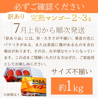 <先行予約>【訳あり】マンゴー サイズ不揃い 2～3玉 (約1kg) <2026年7月上旬から発送>