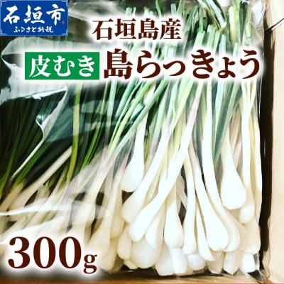 石垣島産 皮むき島らっきょう(下処理済み) 300g(石垣市島らっきょうの会 協同出荷)