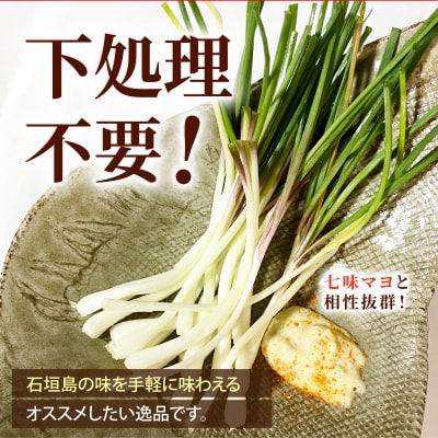 石垣島産 皮むき島らっきょう(下処理済み) 300g(石垣市島らっきょうの会 協同出荷)