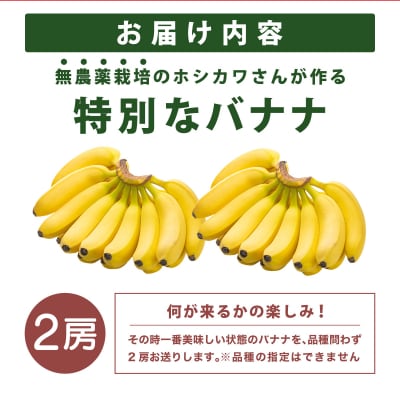 希少!無農薬栽培の千川さんが作る特別なバナナ2房