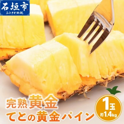 【先行予約】お試し用 完熟黄金 てとの黄金パイン 1玉 約1.4kg