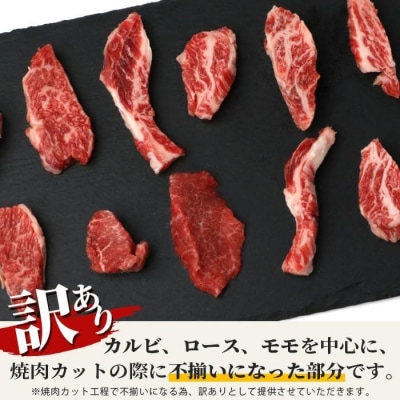 【定期便】《隔月全6回》【訳あり】石垣牛 焼肉用(不揃い)500g