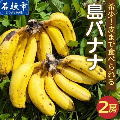 希少!皮まで食べられる特別な石垣島産 島バナナ 2房