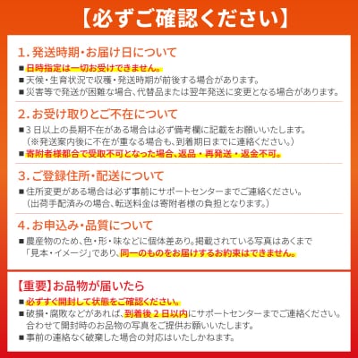 希少!皮まで食べられる特別な石垣島産 島バナナ 2房