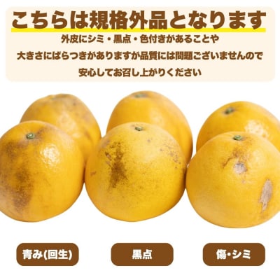 先行受付 訳あり 愛南ゴールド ( 河内晩柑 ) 5kg 減農薬 愛媛県 愛南町 愛南フルーツ