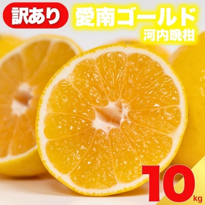 先行受付 訳あり 愛南ゴールド ( 河内晩柑 ) 10kg 減農薬 愛媛県 愛南町 愛南フルーツ