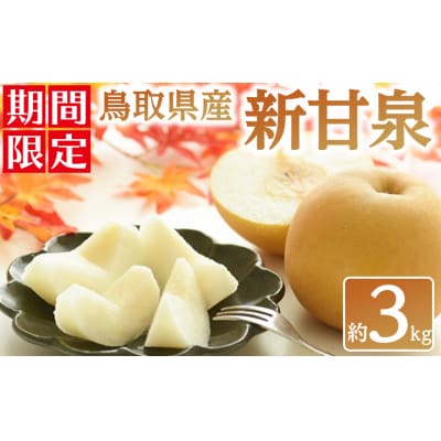 鳥取県産新甘泉 梨(約3kg)<2025年8月下旬以降順次発送予定>