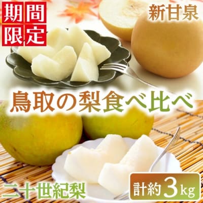 鳥取の梨食べ比べ(新甘泉/二十世紀梨・計約3kg)<2025年8月下旬以降順次発送予定>