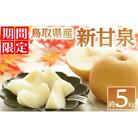 鳥取県産新甘泉 梨(約5kg)<2025年8月下旬以降順次発送予定>