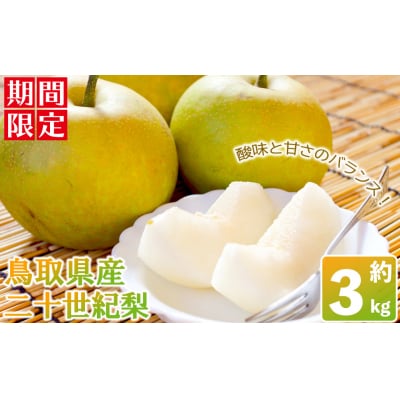 鳥取県産二十世紀梨(約3kg)<2025年8月下旬以降順次発送予定>