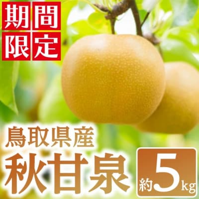 鳥取県産 秋甘泉 梨(約5kg)<2025年9月上旬以降順次発送予定>