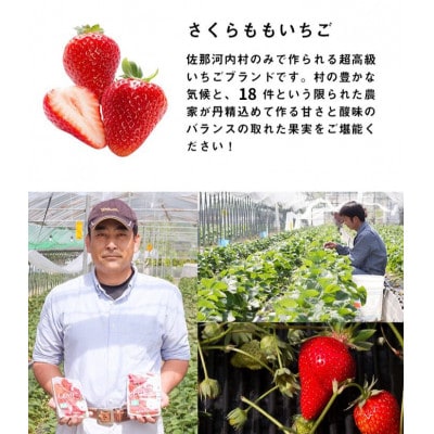 さくらももいちご4パック入り ※2026年1月上旬頃から順次発送