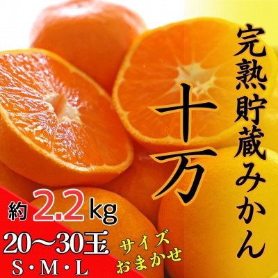 【先行受付】完熟貯蔵みかん『十万』　※2026年2月中旬頃から発送