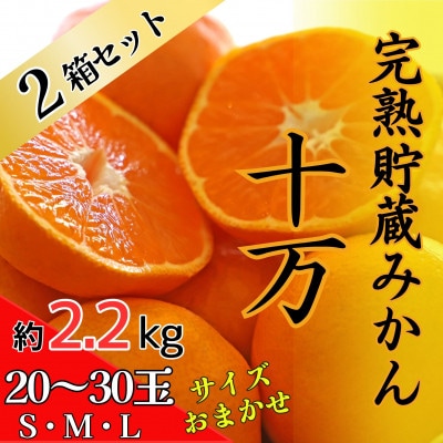 【先行受付】2箱セット　完熟貯蔵みかん『十万』　※2026年2月中旬頃から発送