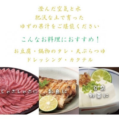 ゆず果汁　720ml