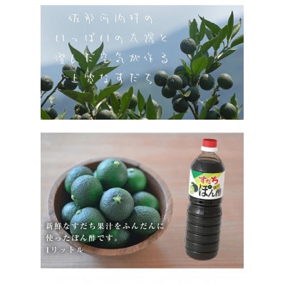 2本セット　すだちポン酢　1000ml×2