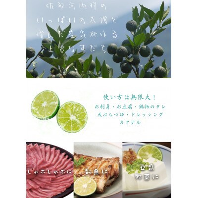 ハウス栽培すだち　1kg　※6月中旬頃から発送