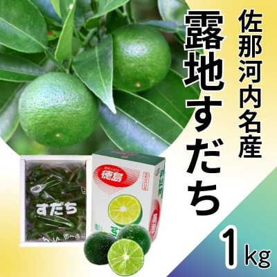 露地栽培すだち　1kg　※8月下旬頃から発送