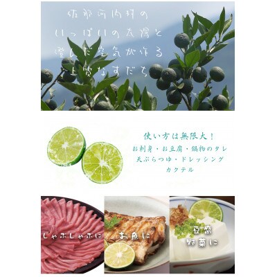 露地栽培すだち　2kg　※8月下旬頃から発送
