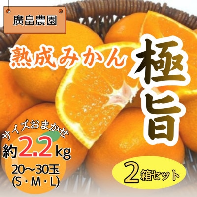2箱セット　熟成みかん『極旨』　※2027年2月初旬頃から発送