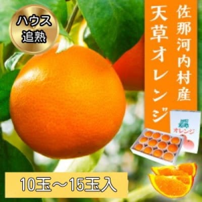 ハウス追熟 天草オレンジ(10玉～15玉入り)　※2027年1月中旬頃から発送