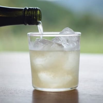 《500ml2種/計2本》「山神果樹薬草園」柑橘リキュール柚子　飲み比べセット