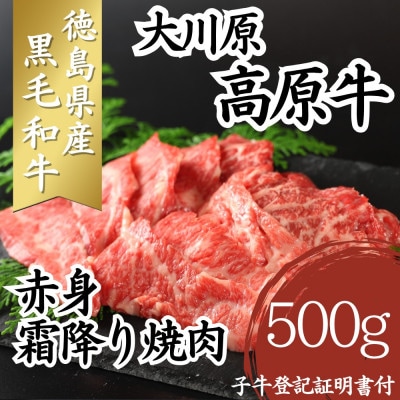 大川原高原牛　赤身霜降り焼肉　500g　牛脂付き
