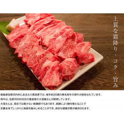 大川原高原牛　赤身霜降り焼肉　1kg　牛脂付き