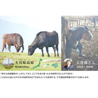 大川原高原牛　赤身モモしゃぶしゃぶ　500g
