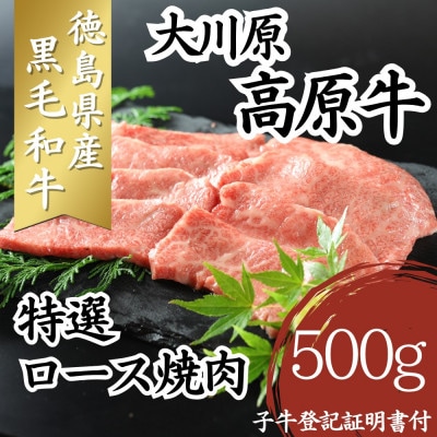 大川原高原牛　特選ロース焼肉　500g