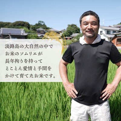 【定期便】野添農園のコシヒカリ5kgx6ヶ月「ひょうご安心ブランド」　as03008