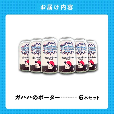 ガハハビール　ガハハのポーター6本セット　【kt013-005】