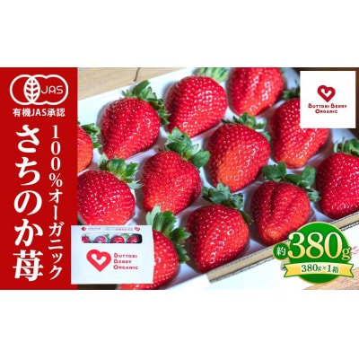 とくしまオーガニックいちご 大粒12～15粒(約380g)1箱【BL001】