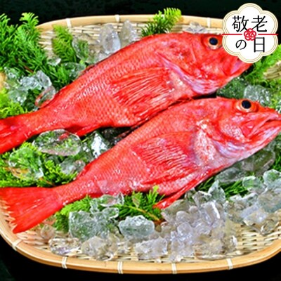 【敬老ギフト】キンキ(600g前後2尾)
