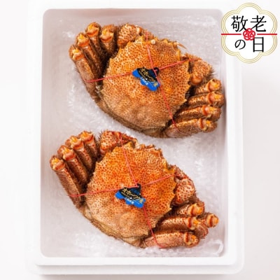 【敬老ギフト】毛ガニ約570g×2尾