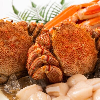 【敬老ギフト】毛ガニ約570g×2尾