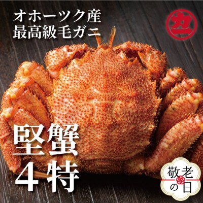 【敬老ギフト】ボイル毛がに(約440g～570g)×1尾